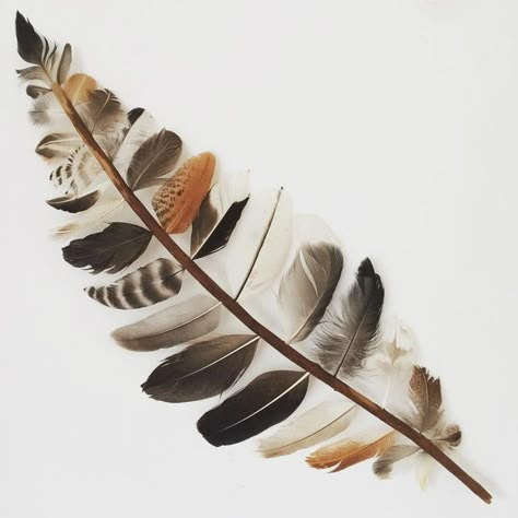 نباتات منزلية, Deco Nature, Driftwood Crafts, Feather Crafts, Feather Art, Garden Art Sculptures, Rustic Garden Decor, Garden Art Diy, Driftwood Art