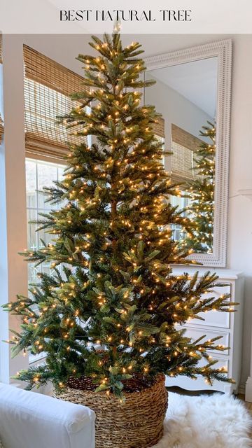 Christmas Tree In Sunroom, Puleo International Christmas Tree, Natural Christmas Tree, Realistic Christmas Trees, Vintage Christmas Tree Decorations, Luxury Christmas Tree, Pre Lit Christmas Tree, Thanksgiving Diy, Natural Christmas