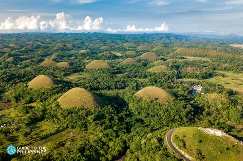 The Chocolate Hills in the province of Bohol are a stunning collection of geological formations that look like gigantic Kisses chocolates. Bohol Chocolate Hills Philippines, Chocolate Hills Philippines, Bohol Chocolate Hills, Chocolate Hills, Fantasy Terrain, Bohol Philippines, Art 2024, Tourist Sites, Hiking Routes