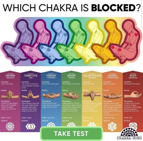 Chakra For Beginners, Energy Science, Chakra Healing Meditation, Chakra Health, Yoga Facts, Spiritual Psychology, Chakra Affirmations, Energy Healing Spirituality, Chakra Yoga