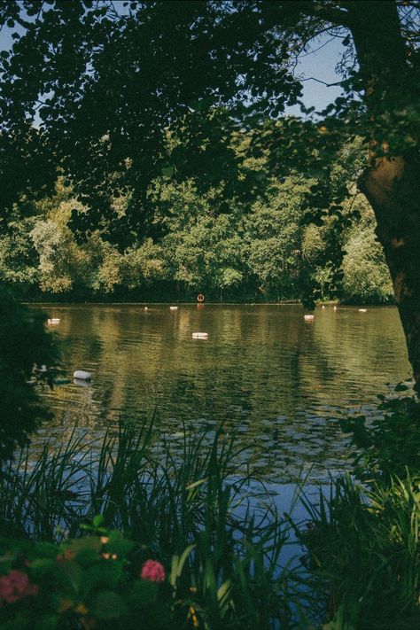 // this time next year book Hampstead Ponds, Swimming Ponds, Lake Swimming, Hampstead London, London Dreams, London Living, Wild Swimming, Hampstead Heath, Swimming Pond