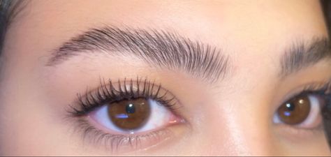 Anastasia Brow Freeze, Feathered Eyebrows, Brow Freeze, Feathered Brows, Feather Brows, Anastasia Brow, Marvel Dr, Brow Shaping, Brow Makeup