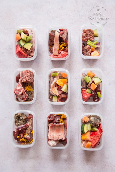 Dog Meal Prep, Farm Sanctuary Ideas, Bulk Meal Prep, Dog Food Ideas, Raw Dog Food Diet, Dog Wellness, Puppy Mom, Raw Dog Food, Pet Nutrition