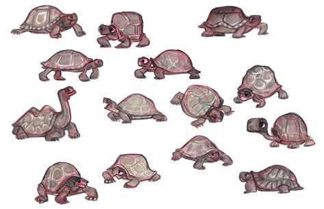 . Cute Tortoise Drawing, Turtle With House On Back Drawing, Tortoise Character Design, Desert Tortoise Drawing, Tortoise Cartoon, Tortoise Concept Art, Turtle Character Design, Turtle Concept Art, Tortoise Illustration