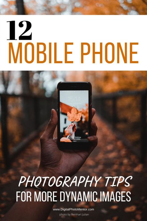 Phone Photography Tips For Beginners, Cell Phone Photography Ideas, Photography Mobile Ideas, Photoshoot Ideas With Iphone, Mobile Videography Ideas, Smartphone Photography Ideas, Phone Photography Ideas, Mobile Photography Ideas, Cellphone Photography