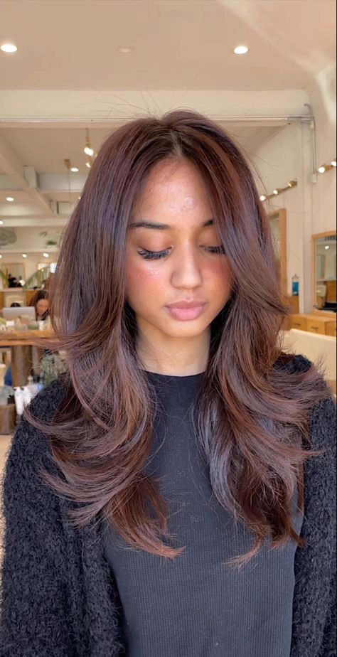 Fall Hair Brunette Caramel, Brown Hair Plum Highlights, Dark Auburn Hair On Tan Skin, Brown Chestnut Balayage, Medium Cherry Brown Hair, Dark Brown Hair Balayage Auburn Red Ombre, Brunette With Hint Of Red, Hair Gloss Color Ideas, Fall Asian Hair