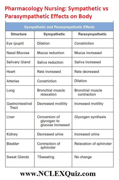 Cardio Pharmacology, Ans Pharmacology Notes, Vet Med Cheat Sheet, Agonist Vs Antagonist Pharmacology, Sympathetic Vs Parasympathetic, Pharmacology Nursing Study, Charting For Nurses, Nursing Knowledge, Nursing School Studying Cheat Sheets