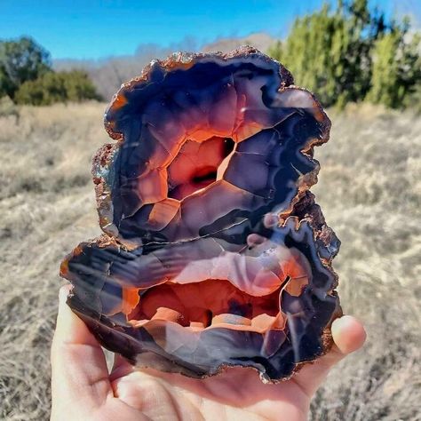 Exotic, Beautiful, And Rare Patagonian Crater Agate Only Found In Argentina! Minerals Crystals Rocks, Crystal Aesthetic, Geology Rocks, Pretty Rocks, Cool Rocks, Beautiful Rocks, Minerals And Gemstones, Rocks And Gems, Gems And Minerals