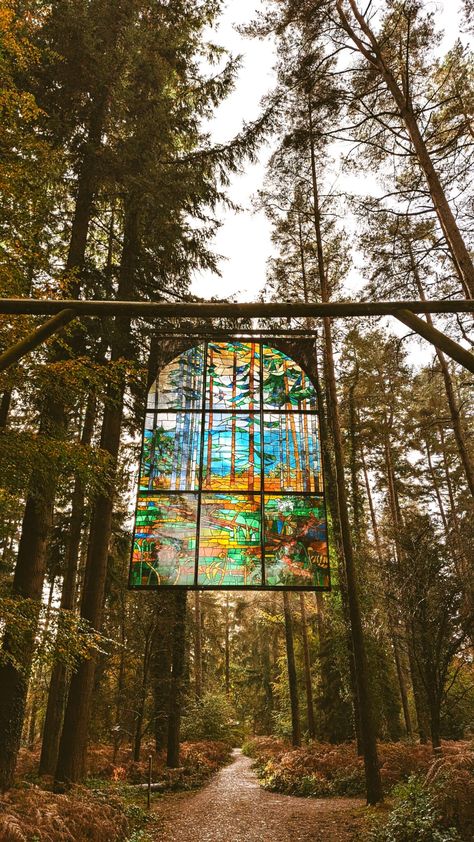 Beechenhurst Sculpture trail in the Forest of Dean, autumn leaves in the woods. The cathedral stained glass window sculpture Stained Glass Sculpture, Trail Ideas, Glass Cathedral, Woodland Trail, Forest Of Dean, Autumn 2024, The Cathedral, Uk Travel, Walking In Nature