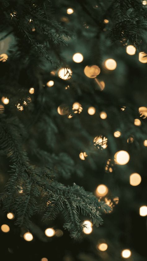 Christmas Themes Wallpaper, Iphone Background Christmas Aesthetic, Iphone Xmas Wallpaper, Iphone Wallpaper Christmas Lights, Christmas Aesthetic Photography, Christmas Mood Aesthetic, Noel Background, Christmas Background Aesthetic, Christmas Season Aesthetic