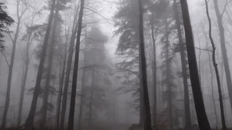 Banner Gifs, Gif Banners, Dc Banner, Black And White Gif, Castlevania Anime, Banners For Discord, Dark Forest Aesthetic, Gif Background, Creepy Core