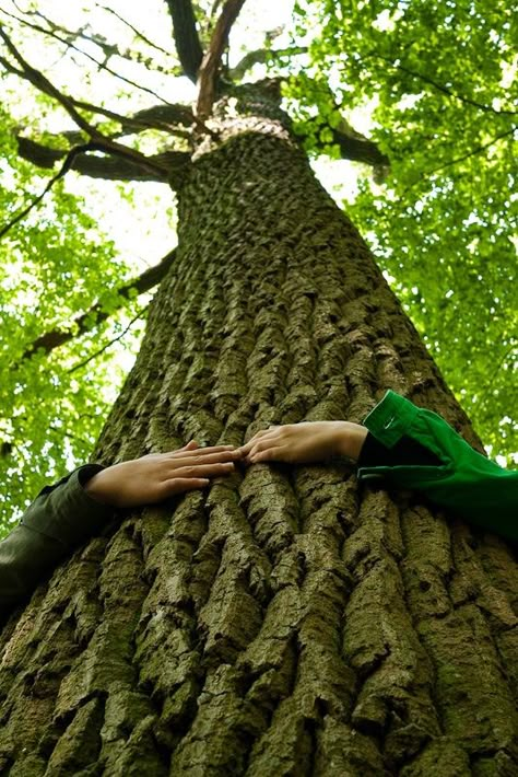 Reconnecting With Nature, Nature Regeneration, Conservation Photography, Forest Schools, Nature Deficit Disorder, Nature Technology, Humans And Nature, Nature Connection, Flowing River