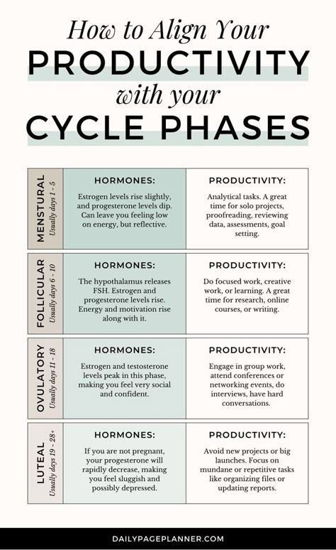 Cycle Synching, Hormone Nutrition, Menstrual Cycle Phases, Cycle Tracking, Cycle Phases, Womb Healing, Cycle Syncing, Healthy Hormones, Moon Cycle