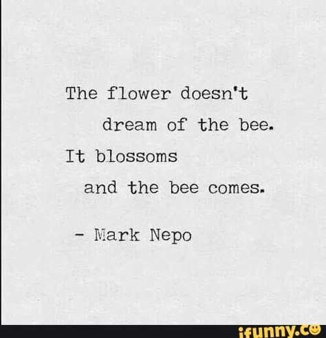 The flower doesn't dream of the bee. It blossoms and the bee comes. - Mark Nepo – popular memes on the site iFunny.co #beemovie #movies #the #flower #doesnt #dream #bee #it #blossoms #comes #nepo #pic The Flower Doesn't Dream Of The Bee, Quotes About Bees, Poem Flower, Blossom Quotes, Wild Flower Quotes, Bee Quotes, Yoga Apparel, Quotes On Instagram, Flower Quotes