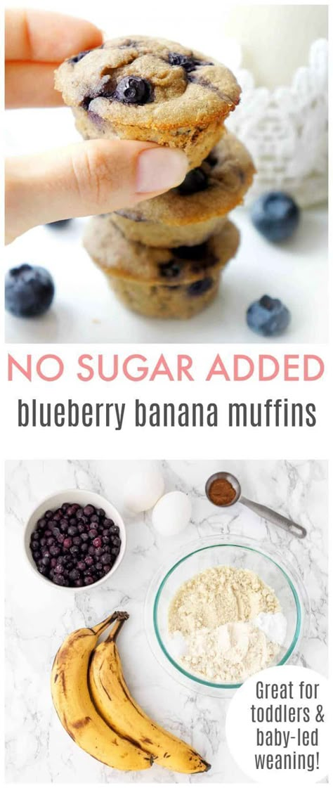 This recipe for Blueberry Banana Muffins is great for toddlers and baby-led weaning, plus these treats are packed full of healthy fats and fibre and are sweetened naturally so they contain no added sugar. Entirely gluten-free and vegetarian as well. Click to learn the recipe! Blueberry Mini Muffins, Blueberry Banana Muffins, Almond Flour Banana, Mini Blueberry Muffins, Weaning Foods, Banana Blueberry Muffins, Easy Baby Food Recipes, Baby Led Weaning Recipes, Healthy Baby Food