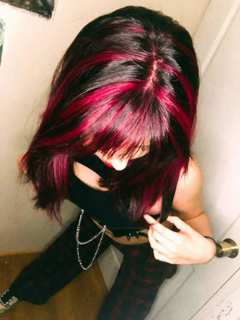 Pink And Black Hair, Skunk Hair, Chunky Highlights, Pink Hair Dye, Color Streaks, Hair Color Streaks, Hair Streaks, Dyed Hair Inspiration, Hair Dye Ideas