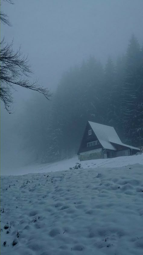 Cabin In The Forest, Heavy Snowfall, Dark Forest Aesthetic, Arte Indie, Winter Scenery, Winter Pictures, Dark Photography, Winter Aesthetic, The Quiet