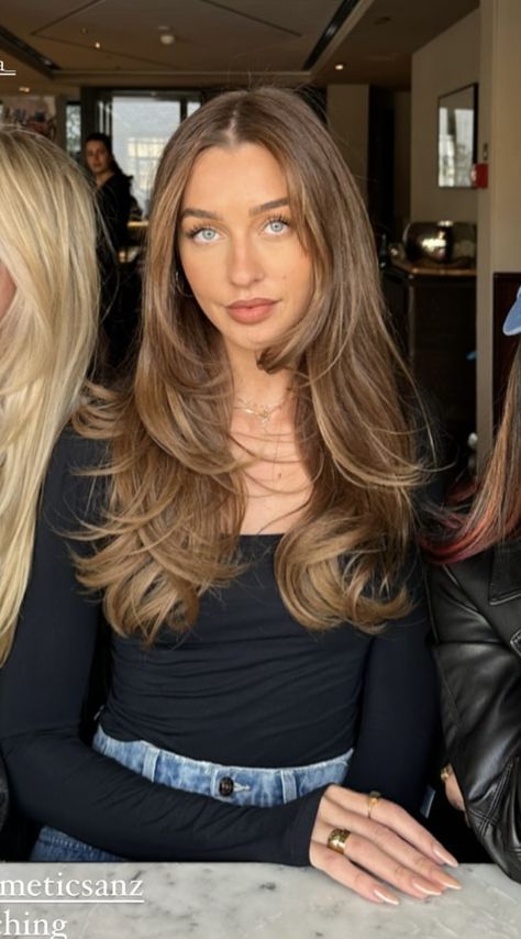 Brown 90s Blowout Hair, Now In Hair, Long Layers No Curtain Bangs, Hair Inspo Oval Face, Honey Blonde Hair Babylights, Long Layered Bronde Hair, Batsheva Haart Hair, Cool Honey Brown Hair, Honey Brown Layered Hair