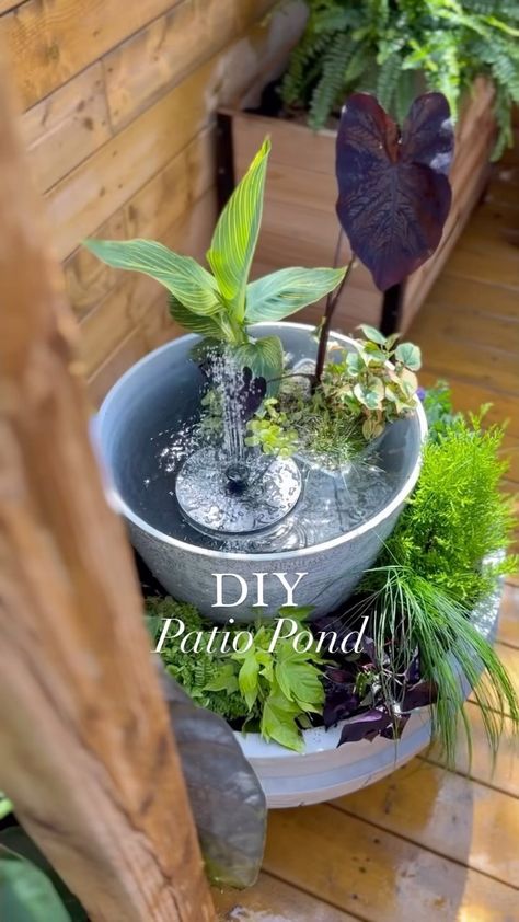 Shavonne Flegel | DIY Patio Pond, but Make it a Planter! 🌱 Patio ponds are such an easy DIY, and are so fun to make! You don’t need a huge garden space to … | Instagram Patio Pond Ideas Container Water Gardens, Diy Pond In A Pot, Diy Container Pond, Outdoor Fish Pond Pot, Plant Pot Pond, Kolam Koi, Container Water Gardens, Patio Pond, Indoor Water Garden