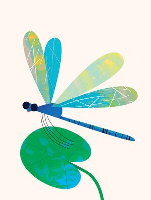 Art Deco Art Illustrations, Natasha Durley, Dragonfly Nursery, Dragonfly Illustration, Monster Board, Colorful Art Prints, Dragonfly Prints, Dragonfly Art, Dragonflies Design