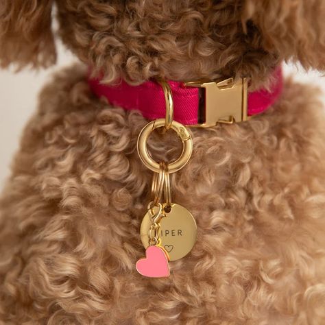 Dog Collar Charms | The Foggy Dog Foggy Dog, Halloween Collar, Dog Trends, The Foggy Dog, Dog Collar Charms, Cute Dog Collars, Puppy Accessories, Zsa Zsa, Heart Icon