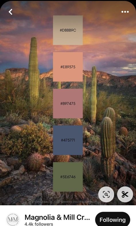 Colorful Ranch Interior, Oklahoma Color Palette, Southwest Sunset Color Palette, Southwestern Color Palette Living Room, Purple Desert Color Palette, Vintage Desert Aesthetic Decor, Desert Landscape Color Palette, Desert Rose Palette, Desert Tones Colour Palettes