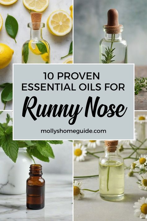 Discover the best essential oils for runny nose relief with these soothing diffuser blends and roller recipes. Find natural support for spring congestion and sneezing using essential oils like eucalyptus, peppermint, and lemon. Learn how to create DIY essential oil blends for seasonal allergies that help clear congestion effectively. Explore kids diffuser blends to provide gentle relief from rhinorrhea using safe and calming essential oils. Best Essential Oil For Congestion, Essential Oil For Congestion Diffuser, Diffuser Blend For Runny Nose, Congestion Blend Essential Oils, Essential Oil Stuffy Nose, Best Essential Oils To Have On Hand, Essential Oils For Sneezing, Face Massage For Nasal Congestion, Natural Remedies For Runny Nose