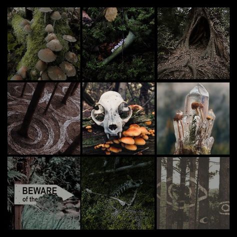 Dark Forest Moodboard, Nature Moodboard Aesthetic, Dark Cottagecore Moodboard, Mushroom Witch Aesthetic, Moodboard Character Design, Mushroom Mood Board, Skull Moodboard, Crow Moodboard, Goblincore Moodboard