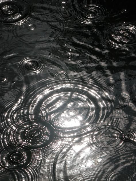 i love all the different water ripples, rings and circles created in this photo and the gloomy effect it gives in black and white. Body Of Water, Water Reflections, Water Ripples, Water Photography, Circle Ring, Black White Photos, Warrior Cats, Patterns In Nature, Blue Water