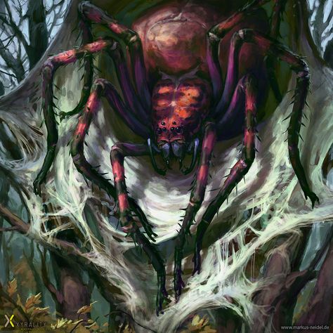 ArtStation - Giant Spider, Markus Neidel Giant Spider Dnd, Giant Spiders, Spider Skull, Rpg Monsters, Spider Queen, Creature Fantasy, Giant Spider, Spider Art, Fantasy Monster