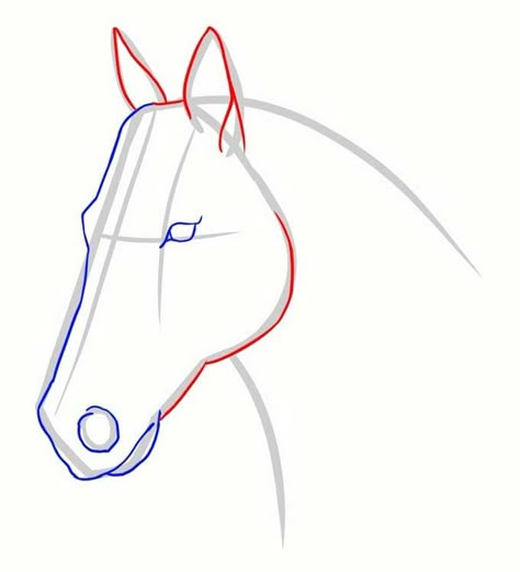 Head Drawing Step By Step, Horse Face Drawing, Easy Horse Drawing, Head Step By Step, Horse Drawing Tutorial, Horse Head Drawing, Head Drawings, Draw A Horse, Rock Projects