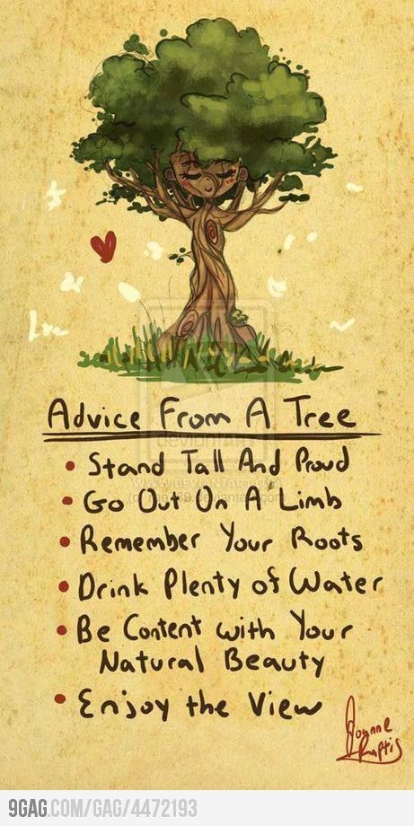 Live life like a tree. Cute idea to put up during our forest ecology unit :) Life Coaching, Quotes For Kids, Quotable Quotes, In Spanish, اقتباسات ملهمة, Good Advice, A Sign, Great Quotes, Mantra