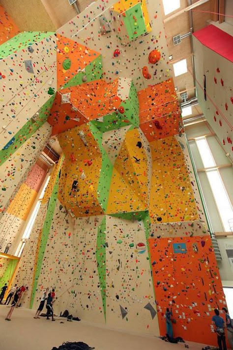 Rock Climbing Aesthetic, Rock Climbing Training, Home Climbing Wall, Indoor Climbing Wall, Rock Climbing Gym, Climbing Workout, Indoor Rock Climbing, Climbing Walls, Indoor Climbing