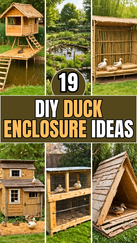 19 DIY Duck Enclosure Ideas – The DIY Desire Duck Pens Ideas, Duck Playground, Diy Duck Enclosure Ideas, Duck Pen Ideas, Diy Duck Enclosure, Homestead Organization, Duck Enclosure Ideas, Diy Duck House, Duck House Diy