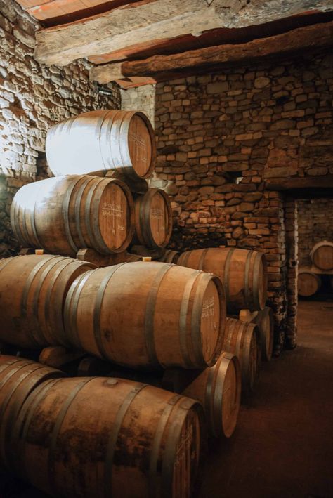 Wine Barrel Aesthetic, Wine Bar Aesthetic, Basement Transformation, Wall Garden Indoor, Winery Decor, Wine Farm, Wrought Iron Wall Decor, Whisky Drinks, Italian Aesthetic