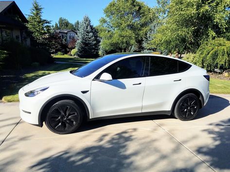 Pics of white Y with and without Gemini covers | Page 4 | Tesla Motors Club Tesla Model Y White, Tesla Auto, White Tesla, Boxer Fighter, Tesla Suv, Car Tesla, Tesla Aesthetic, White Suv, Black Success