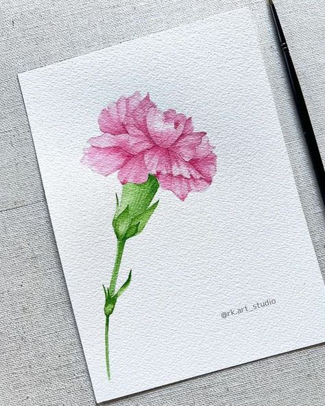 How To Draw A Carnation, Carnation Painting, Carnations Watercolor Painting, Carnation Painting Easy, Carnation Flower Drawing, Carnation Painting Acrylic, Watercolour Carnation, Carnation Flower Painting Acrylic, Carnation Drawing