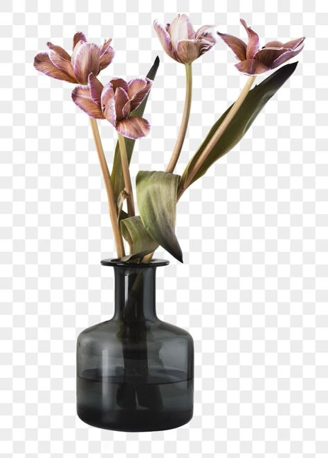 Aesthetic Objects Png, Vase Flowers Decor, Room Decor Png, Flower Vase Aesthetic, Interior Plants Decoration, Vase With Plant, Pink Flower Vase, Plant In Vase, Vase Png