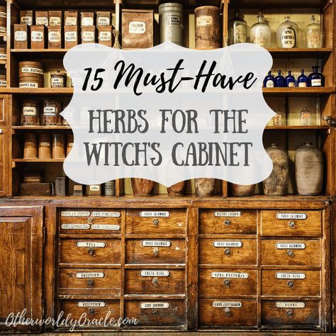 15 MUST-HAVE Herbs for the Witch's Herb Cabinet Must Have Witch Herbs, Witches Herb Cabinet, Witch Herb Cabinet, Herbs Every Witch Should Have, Kitchen Witch Herbs And Spices, Witch’s Apothecary, Must Have Herbs For Witches, Witches Apothecary Cabinet, Starting An Herb Business