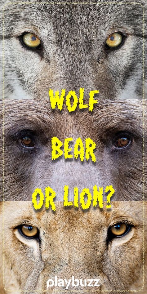 Which Animal Are You, What Animal Am I Quiz, Therian Quiz, How To Draw A Wolf, Wolf Person, Wolf Personality, Bear Personality, What Animal Am I, Lion Therian