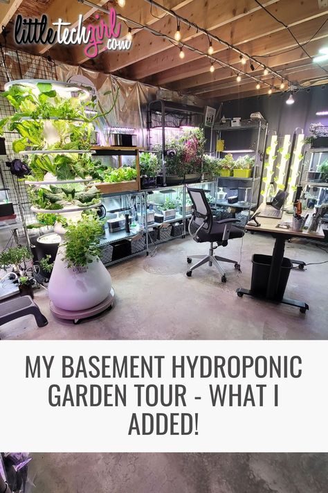 How To Build A Hydroponic Garden, Hydroponic Basement Garden, Diy Hydroponic Garden Indoor Vertical, Indoor Basement Garden Ideas, Basement Vegetable Garden, Hanging Hydroponic Garden, Garage Plant Room, Small Grow Room Ideas Indoor, Small Hydroponics System