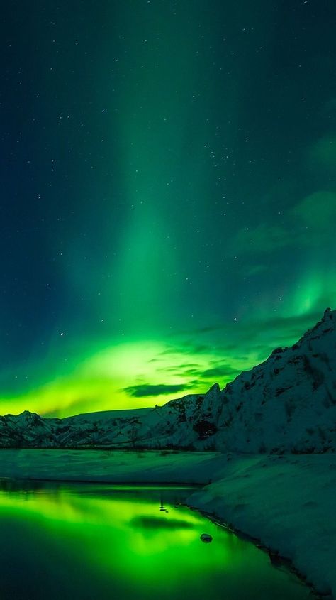 20 Photos that Prove Iceland is the land of Ice and Fire -  The Northern Lights in Iceland – By TPSDave [CC0 Public] via Pixabay More on DrifterPlanet.com Northern Lights Wallpaper, Northern Lights Photography, Aurora Lights, Dark Green Aesthetic, Image Nature, See The Northern Lights, Lit Wallpaper, The Northern Lights, The Aurora