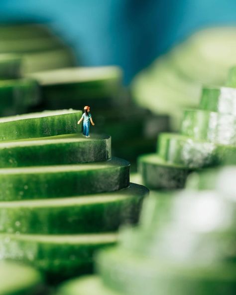 Nothing like strolling through cucumber terraces on a cool morning 🥒😉 Miniatures allow me to travel to places I’ve never been, “real” or imagined. I think that’s one reason humans are drawn to miniaturized things in general; they are an easy portal to imagination. Inside Out Project, Miniature Calendar, Cool Morning, Miniature Inspiration, Micro Photography, Miniature Photography, Vsco Photography, Surrealist Art, Object Photography