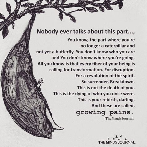 This really gets me in the feels. In the wake of loss, we simply aren't the same person that we once were. The process of transforming into the next version of ourselves requires us to cocoon - to move inward. In a culture that demands us to bounce back quickly, to return to work and social engagements within days, it is often seen as "unhealthy" or "worrisome" to self-isolate and retreat. But this, I believe, is THE most important part of the grief journey. This is the part where we ne... Growing Quotes, Growing Pains, Psychology Quotes, John Maxwell, Growth Quotes, Life Quotes Love, Plot Twist, Mental And Emotional Health, Know Who You Are