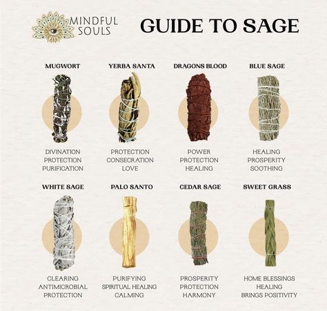 Eclectic Paganism, Different Types Of Sage, Apothecary Business, Enchanting Spells, Cleansing Space, Types Of Sage, Cleansing Herbs, Sage Benefits, Spiritual Shop