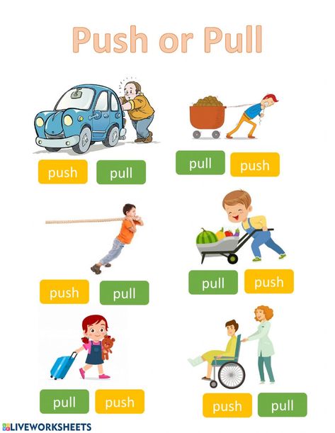 Types Of Forces, Push And Pull, Push And Pull Worksheets, Force Worksheet, Push Or Pull Activities, Force Science, Push And Pull Activities, Force Push And Pull, Push And Pull Activities 2nd Grade