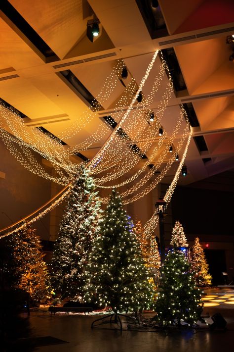 Christmas Banquet Hall Decorations, Christmas Lights Stage Design, Christmas Church Stage Backdrop, Modern Christmas Stage Design, Xmas Stage Decoration, Christmas Tree Stage Design, Christmas Concert Stage Design, Light Of The World Christmas Decorations, Church Stage Christmas Decorations