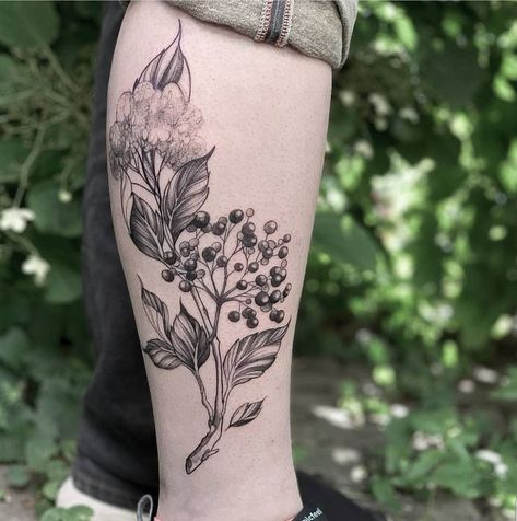 Elderflower Tattoo, December Projects, Left Arm Tattoos, Witch Tattoo, Plant Tattoo, Dot Work Tattoo, Nature Tattoos, Line Tattoos, Flower Plant