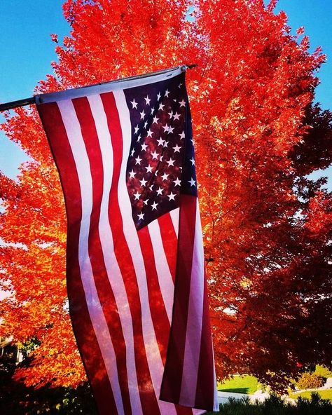 Love Old Glory! #flagsfromparadisoins #america #usa Flag Photography, American Flag Pictures, Patriotic Images, Patriotic Pictures, Us Flags, Patriotic Art, Commercial Insurance, I Love America, United States Flag