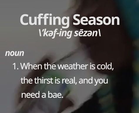 Cuffing Season Humor, Cuffing Season Aesthetic, Cuffing Season Quotes, New Iphone Update, Iphone Update, Color Widgets, Lol Hilarious, Season Quotes, Instagram Story Post